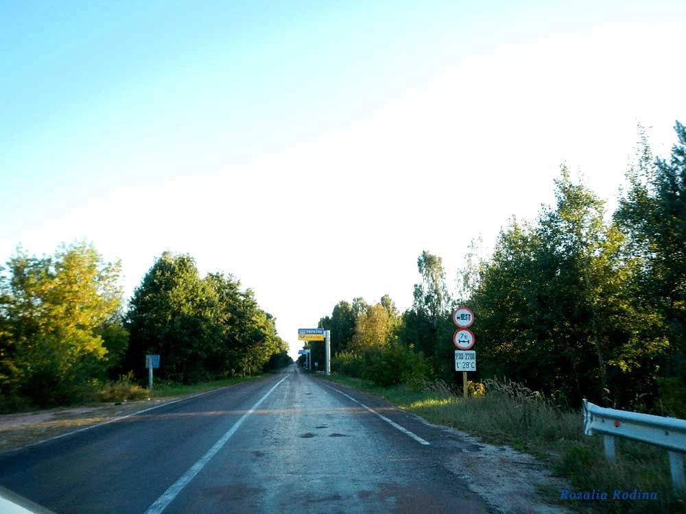 Добрынь (Ельский р-н)