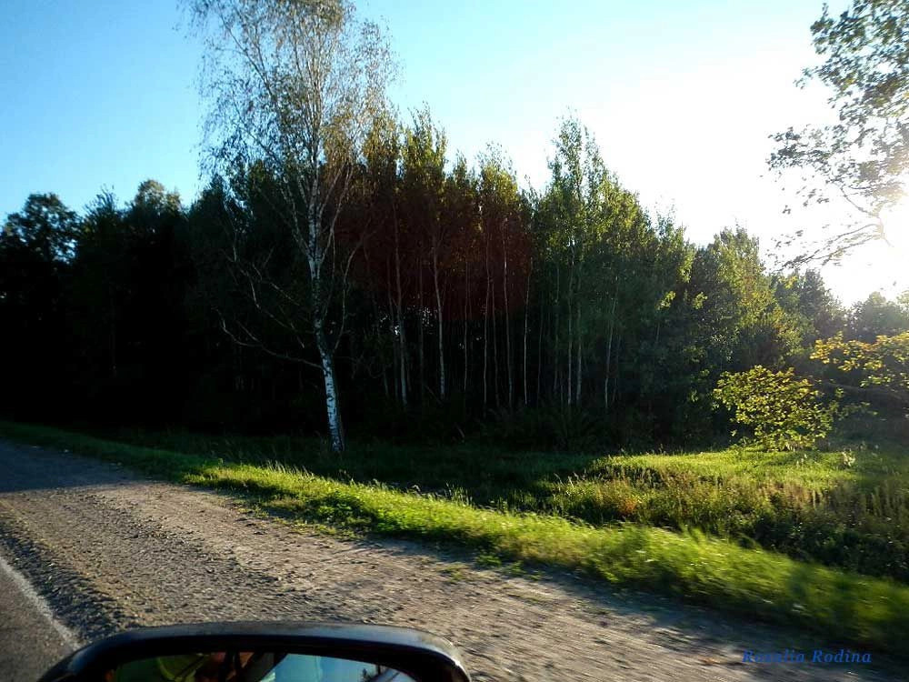Млынок (Ельский р-н)