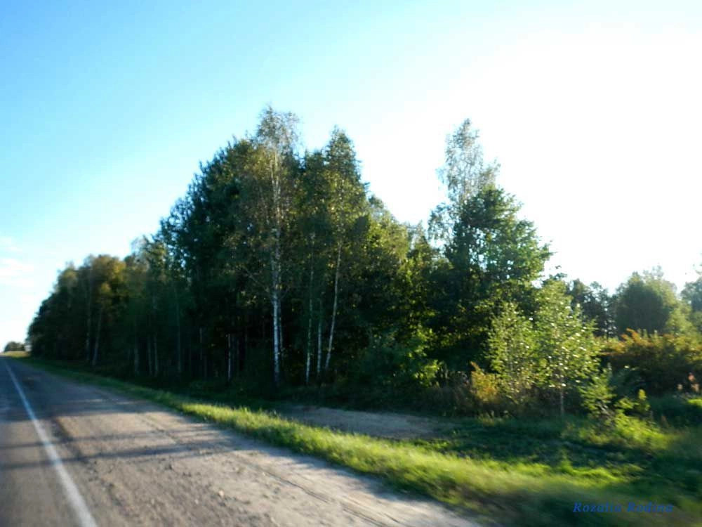 Млынок (Ельский р-н)