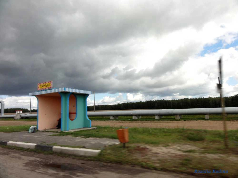 Михалки (Мозырский р-н)