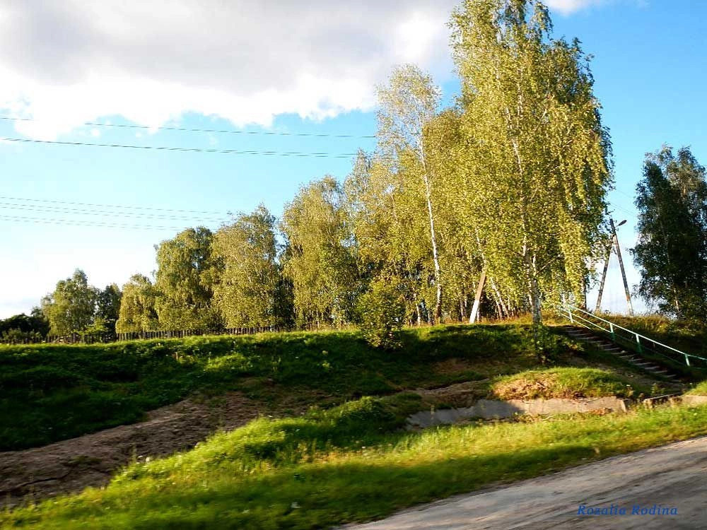 Новики (Мозырский р-н)