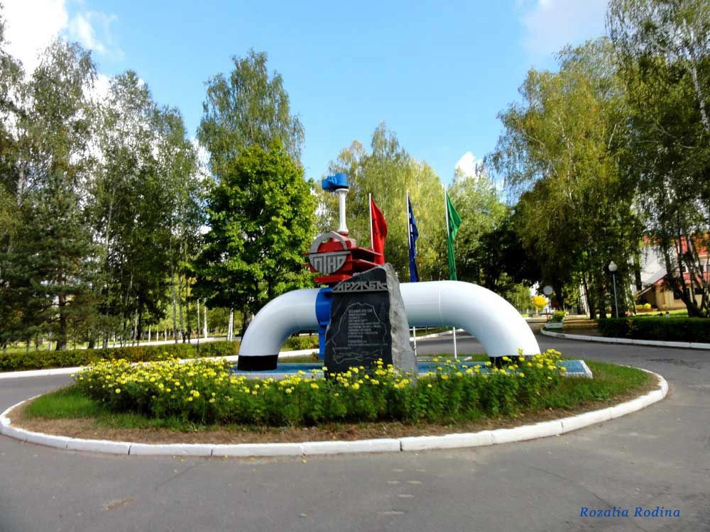 Дружба (Мозырский р-н)