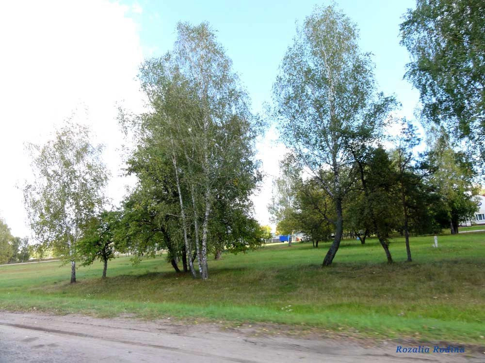 Дружба (Мозырский р-н)