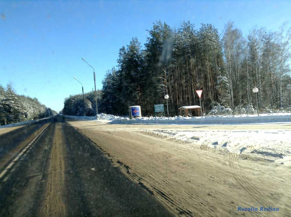 Злынка город