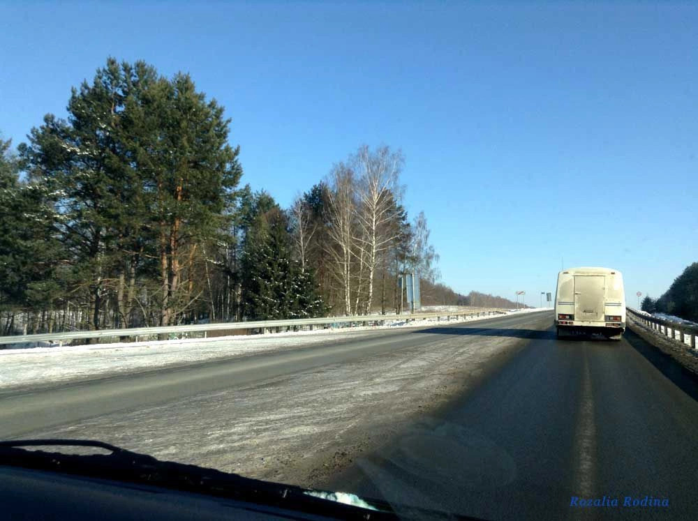 Почепский район