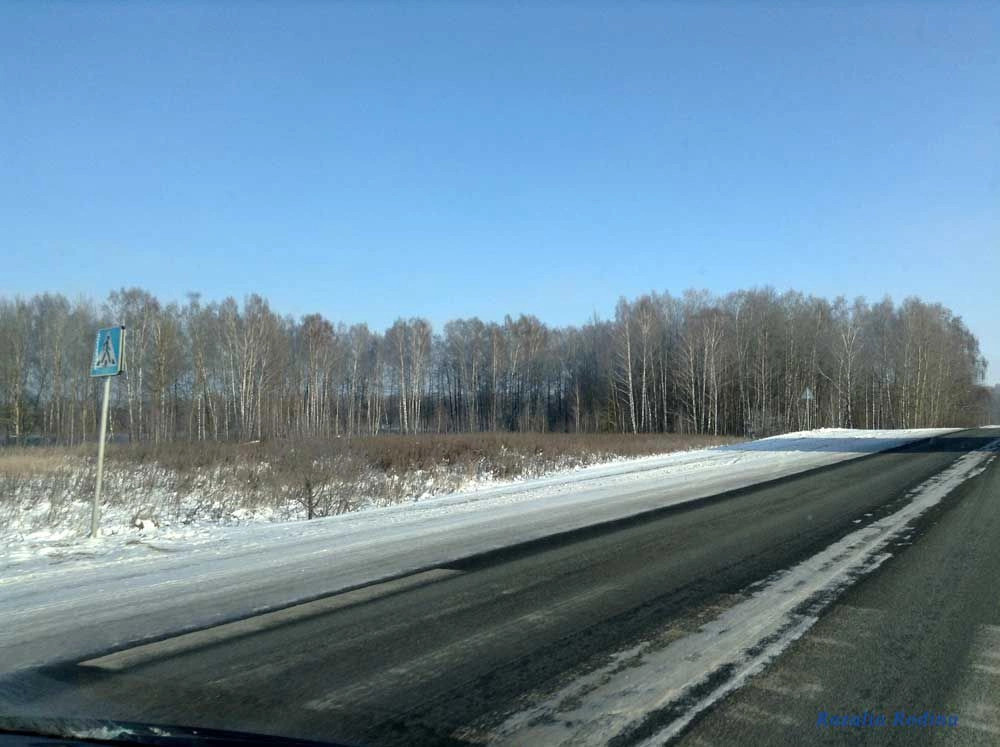 Высокое пос.(Брянская обл., Унечский р-н) поселок