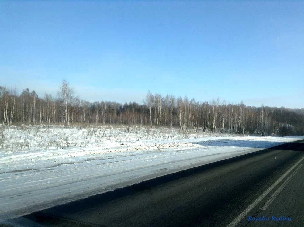 Высокое пос.(Брянская обл., Унечский р-н) поселок