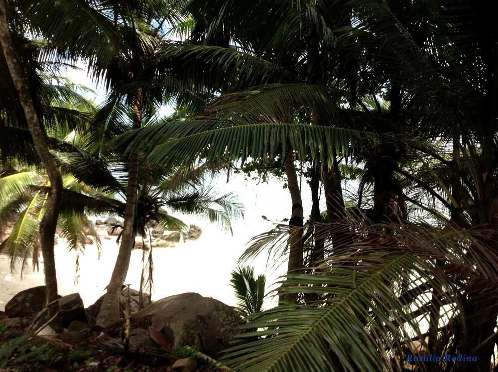 Бугенвиль