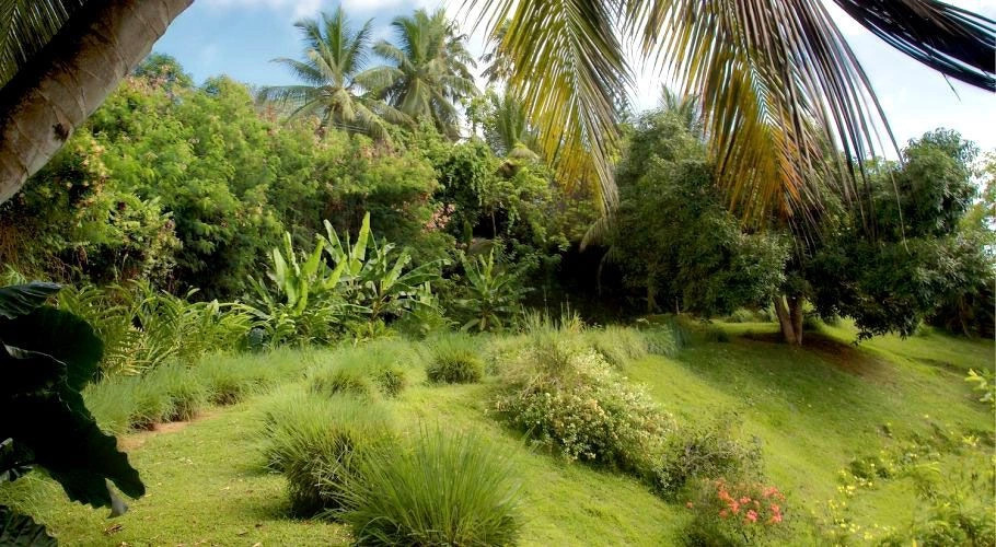 Риф-Эстэйт