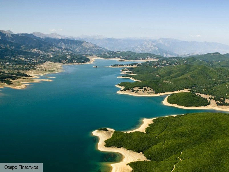 Кардица (ном)