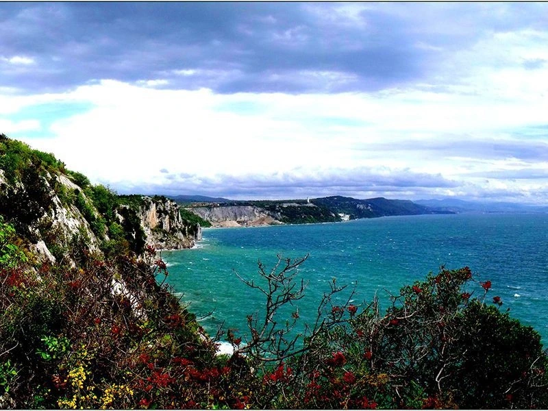 Cliff 4*