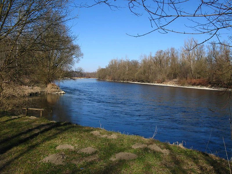Помурска