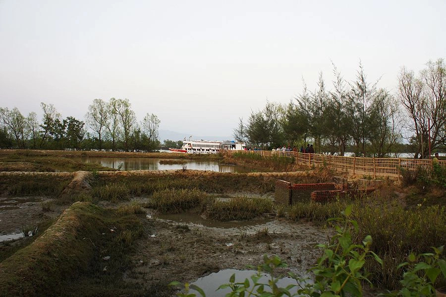 Текнаф