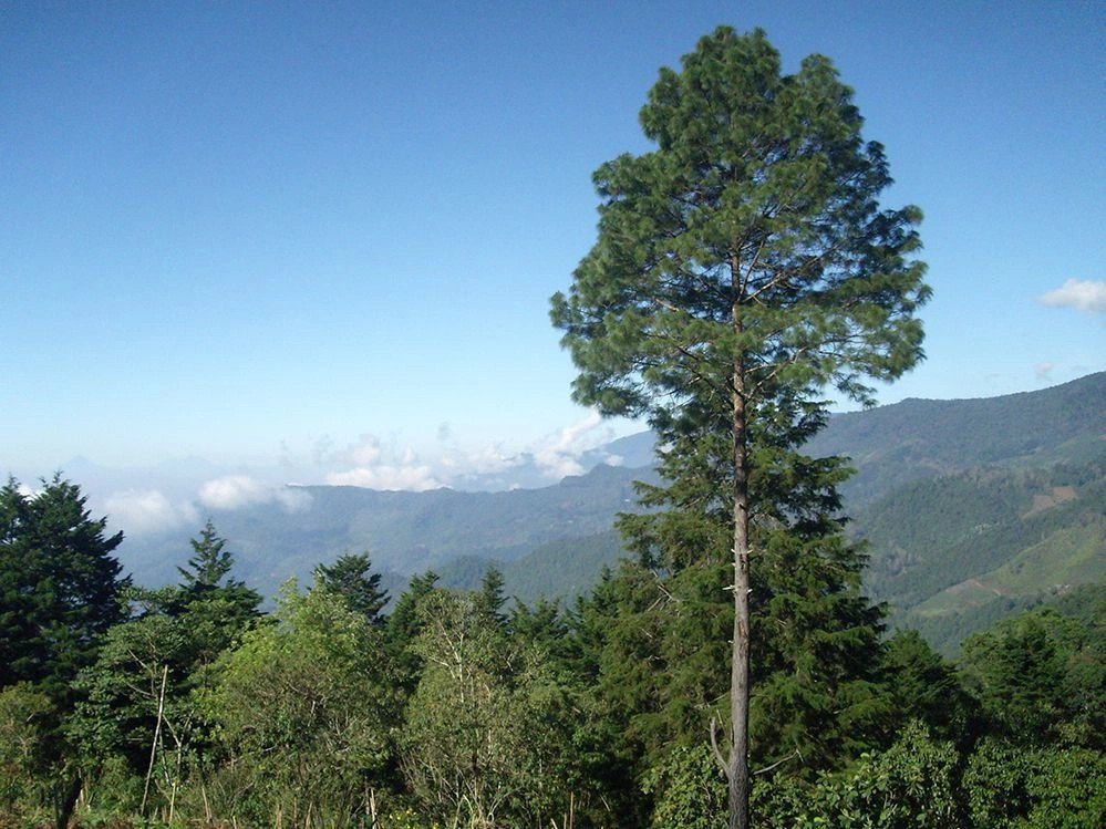 Прогресо (департамент)