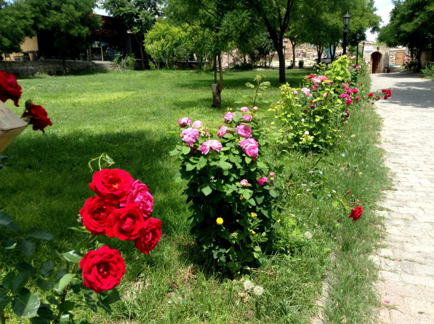 Провинция Аксарай