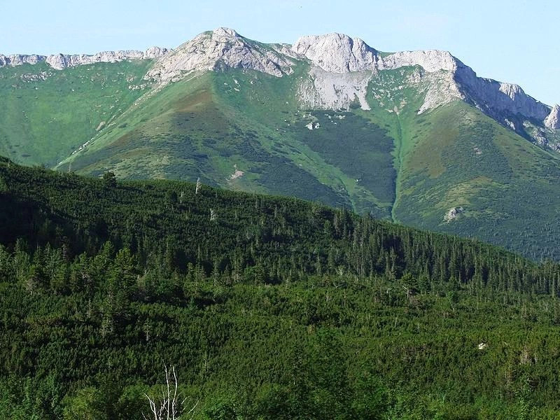 Татранска Яворина