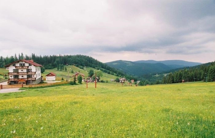 Щирк