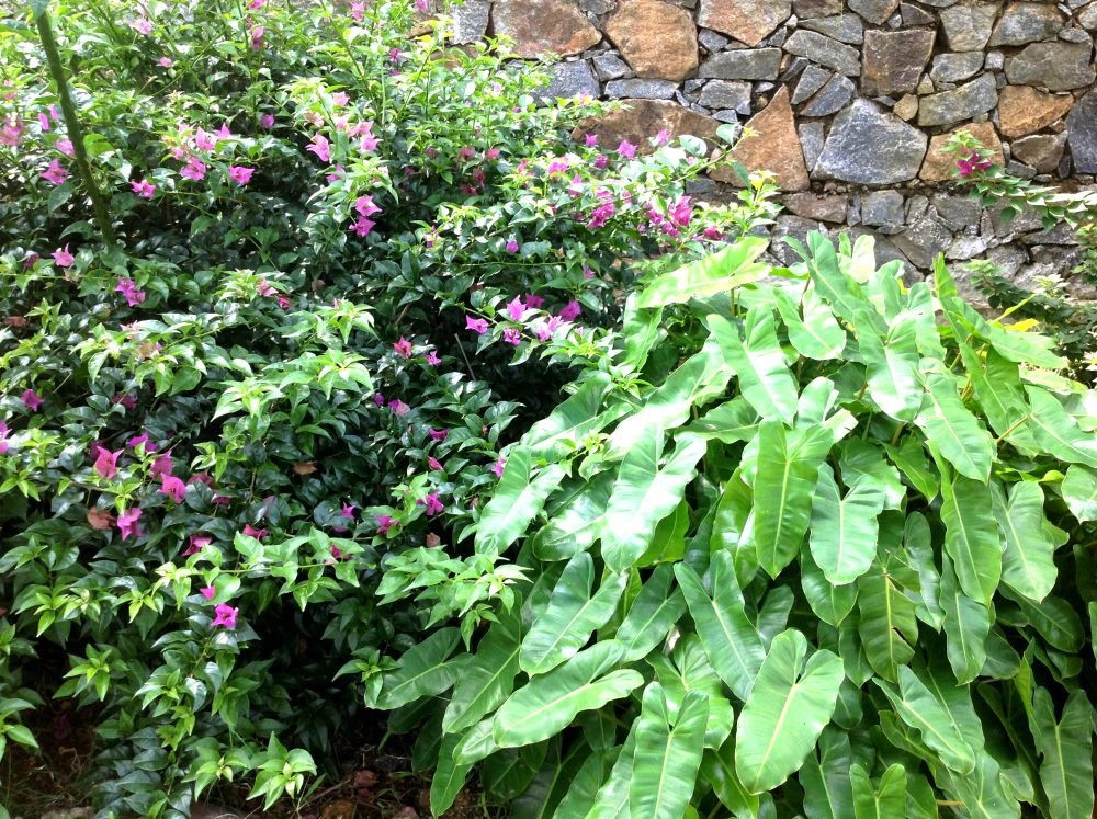 Тангалле-город