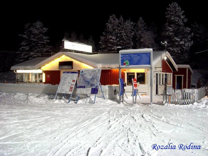 Леви