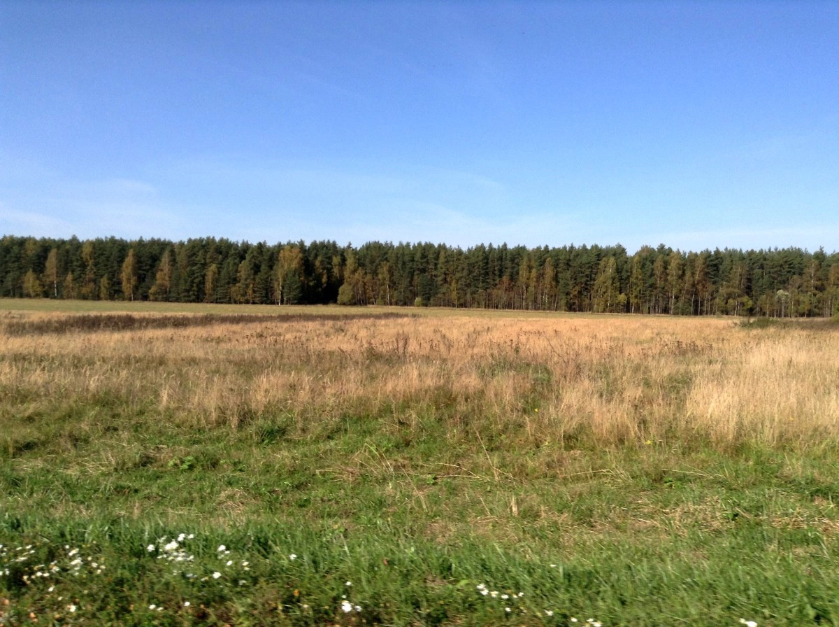 Зуево деревня (Калининский р-н Тверская обл.)