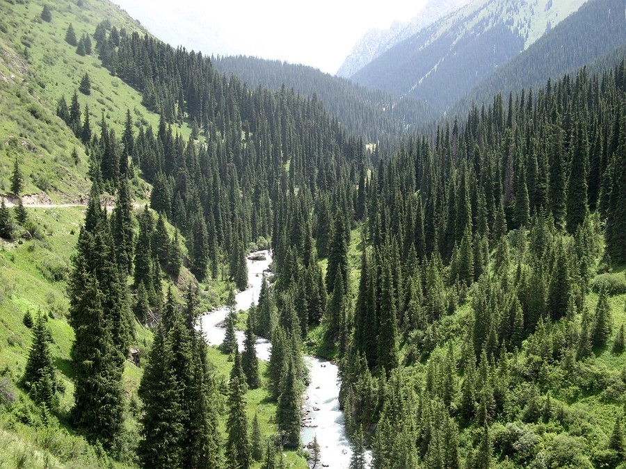 Каракол