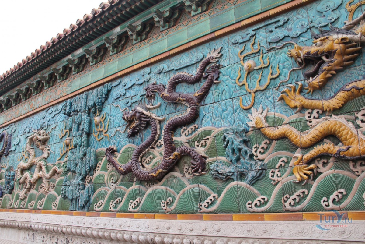 9 драконов фото 9 драконов фото