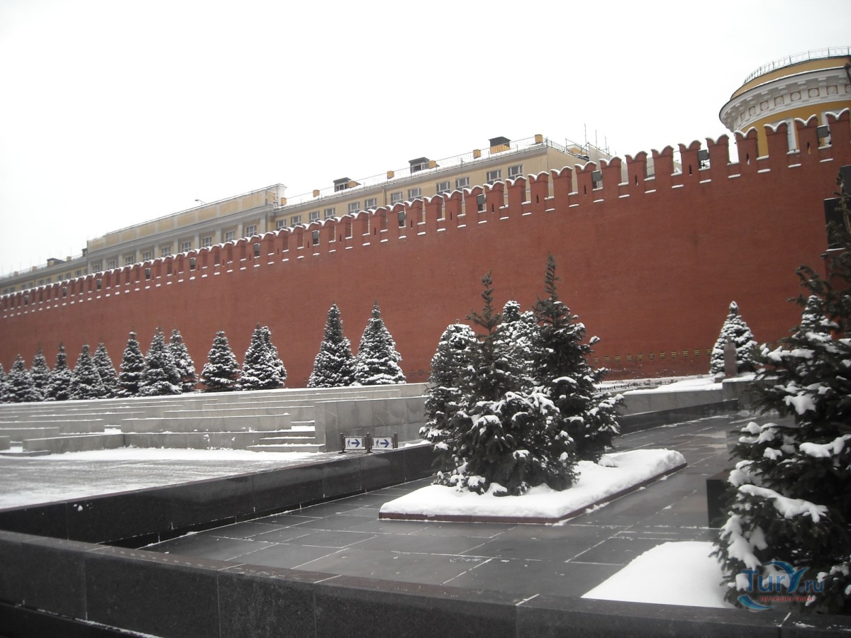 Кремлевская стена фото Кремлевская стена фото