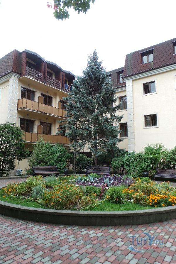 Золотой колос 1 й квартал 26 фото Золотой колос 1 й квартал 26 фото