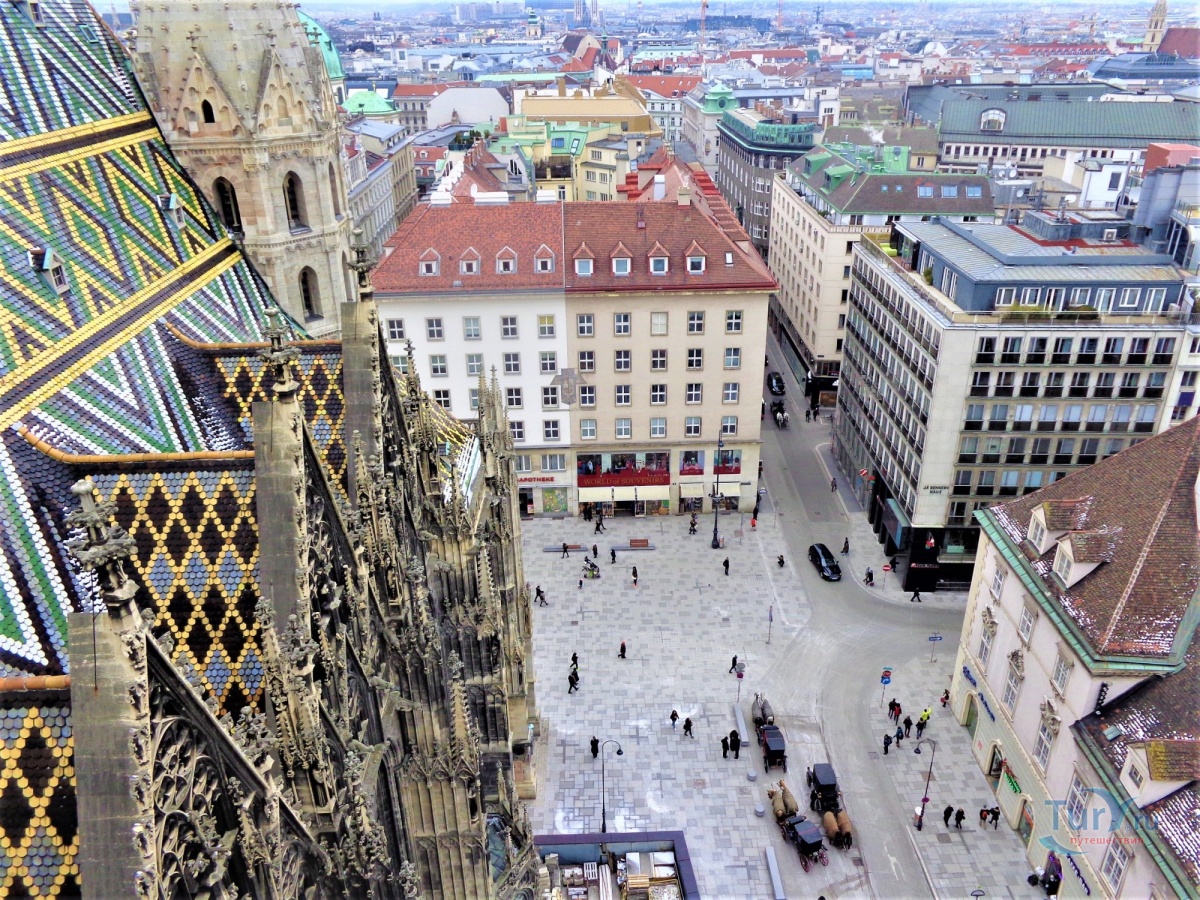 Вена фото города Вена фото города