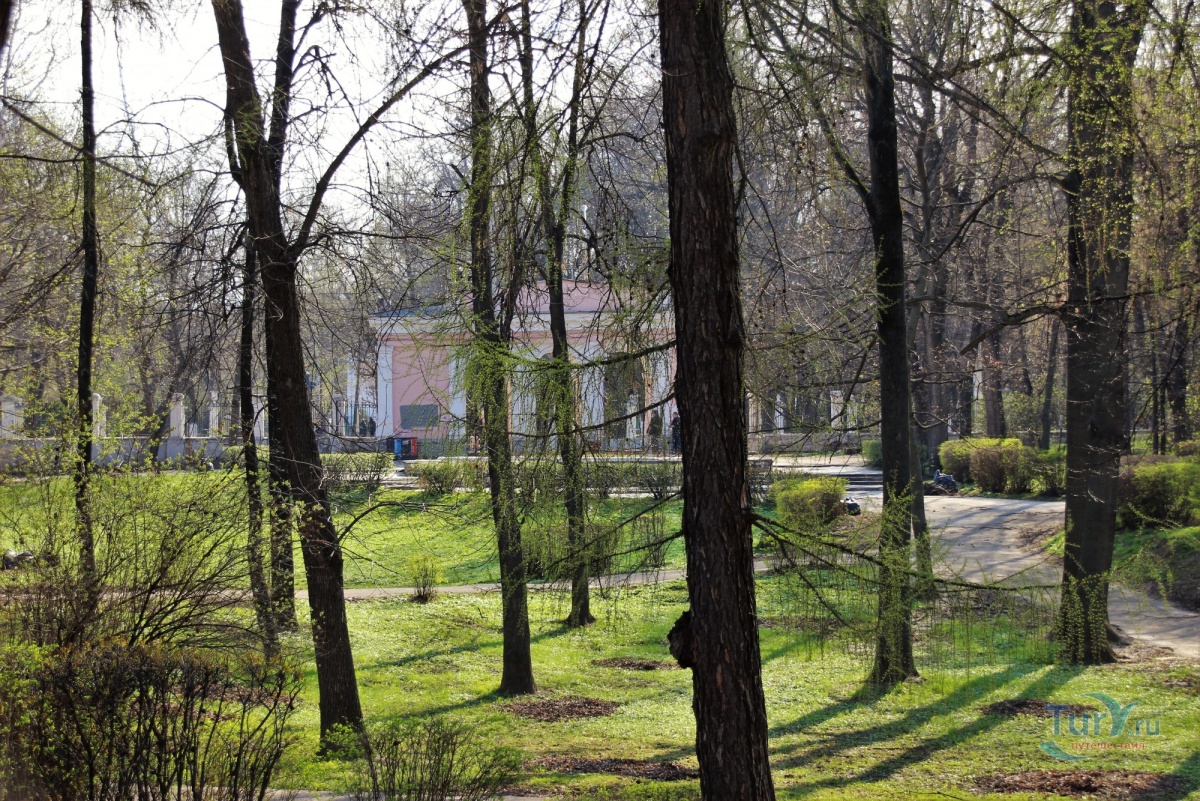 Нижний городской сад ул свободы 57 фото Нижний городской сад ул свободы 57 фото