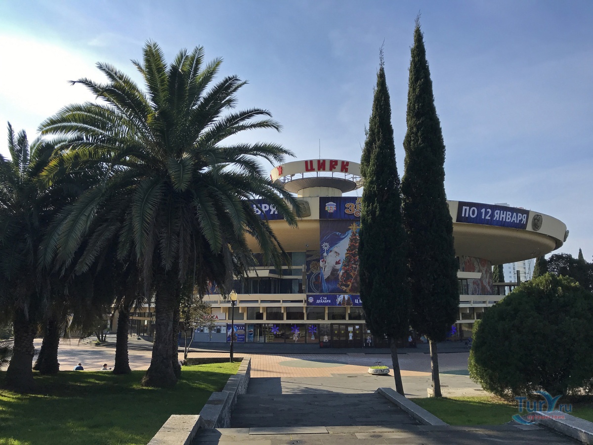 Покажи фото сочи Покажи фото сочи