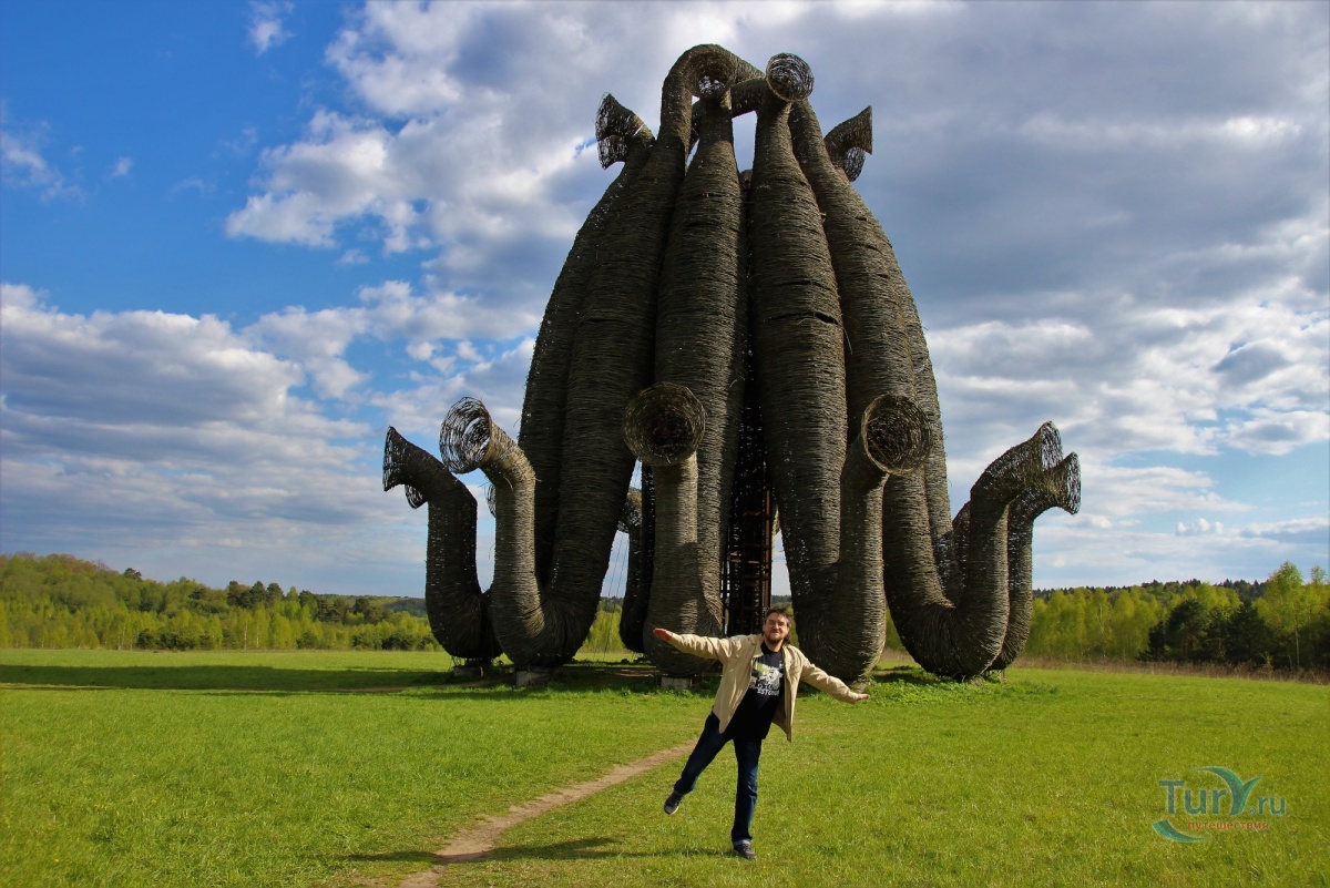 Никола ленивец фото арт Никола ленивец фото арт
