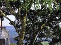  Lakeview Hotel & Restaurant