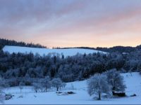  Guest House Veronika