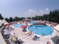  Magnolia (РњР°РіРЅРѕР»РёСЏ)