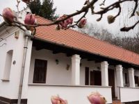  Bodza Vendeghaz - Apartmanhaz