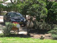  Amira and Georges Guest House