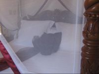  Villa Palatium Martinique