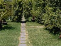  Casa Vacanze Etna Paradiso