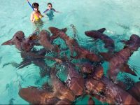  Casa Bonita Farmers Hill