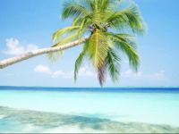  Maison la Plage Vanuatu Holiday Home