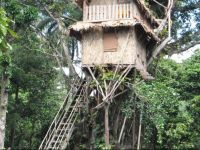  Tanna Lava View Bungalows