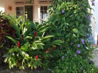  Armadillo Guesthouse