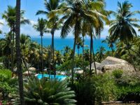  Las Ballenas Escondidas