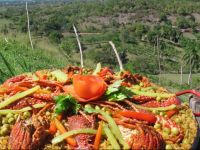  Hotel Vista Linda Lodges et Villas