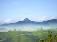  Daynish Rock Bungalow