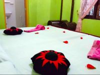  Enjoy Paradise Safari Resort