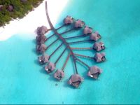  Coco Palm Dhuni Kolhu