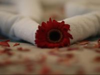  Palestine Plaza Hotel