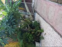  Comfortable and Safe Apartments in Carolina